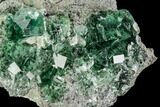 Green Cubic Fluorite Crystal Cluster - China #112634-1